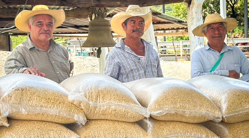 APOYAN A 300 FAMILIAS CAMPESINAS EN OLINALÁ