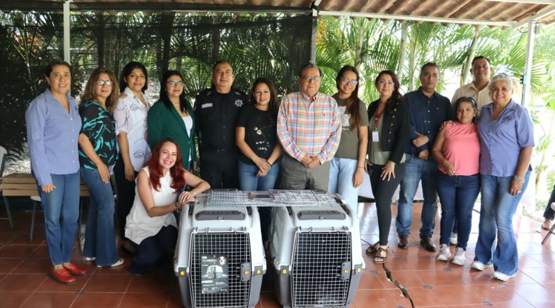 ACCIONES CONCRETAS POR EL BIENESTAR ANIMAL EN GUERRERO