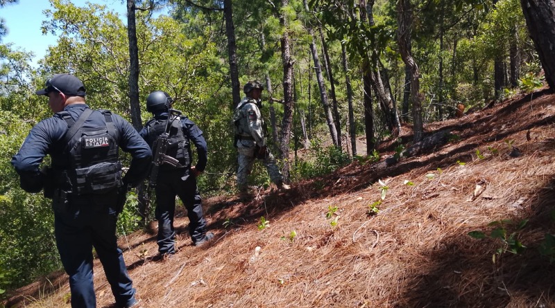 POLICÍA ESTATAL Y EJÉRCITO PROTEGEN LA REGIÓN