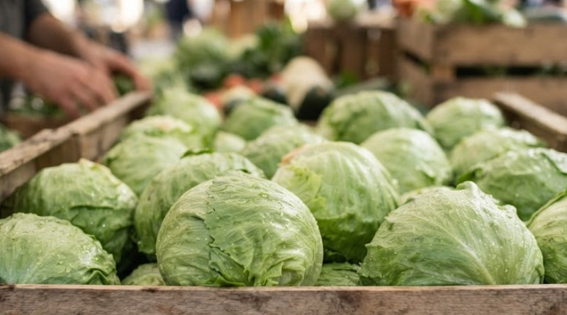 DIARREA EN EU: APUNTAN A LECHUGA MEXICANA COMO CULPABLE