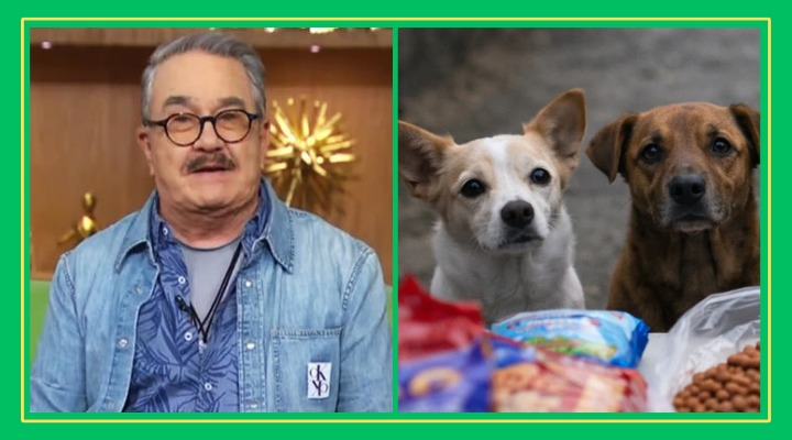 ¡MANDAN A PEDRITO SOLA AL REFUGIO DE PERRITOS POR TREMENDA METIDA DE PATA!