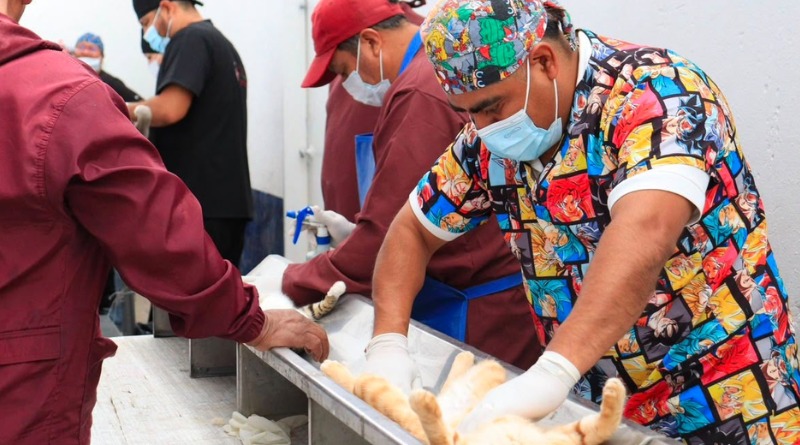 MÁS DE 120 MIL VACUNAS Y 18 MIL ESTERILIZACIONES EN PUEBLA COMPLETADAS