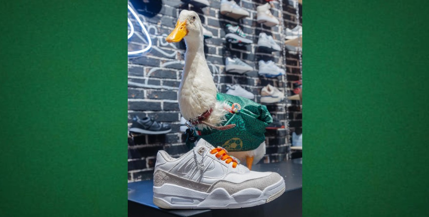 PANAM DESATA EUFORIA CON JOYAS DE COLECCIÓN: TENIS DEL PATO MERLÍN EDICIÓN LIMITADA