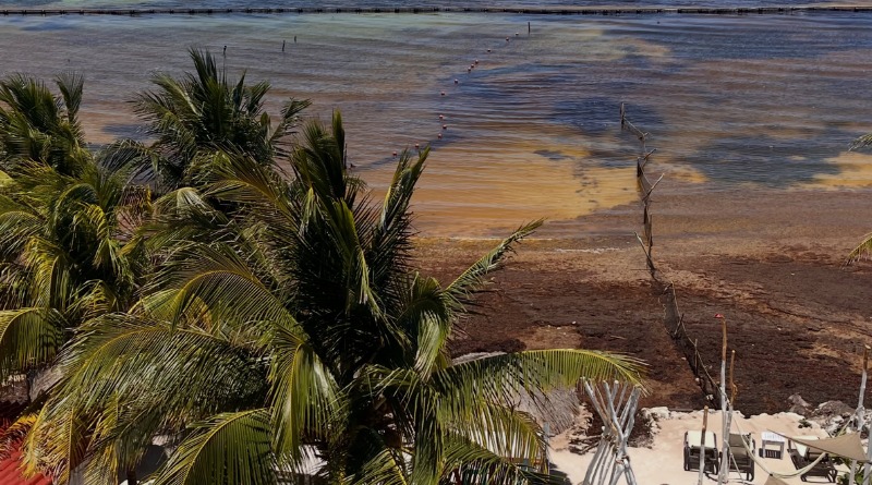 POR CRISIS DE SARGAZO CIERRA IMPORTANTE HOTEL EN MAHAHUAL, QR