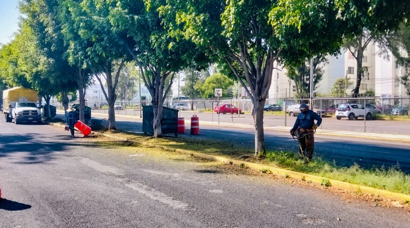 RENOVACIÓN DE CAMELLONES IMPULSA FORTALECIMIENTO URBANO EN PUEBLA