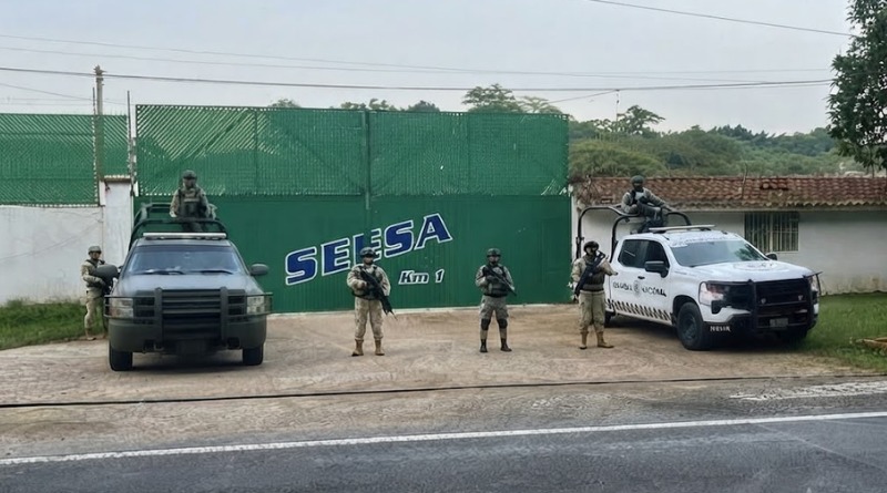 VERACRUZ: HALLAN IMPORTANTE CENTRO DE ALMACENAMIENTO DE HUACHICOL