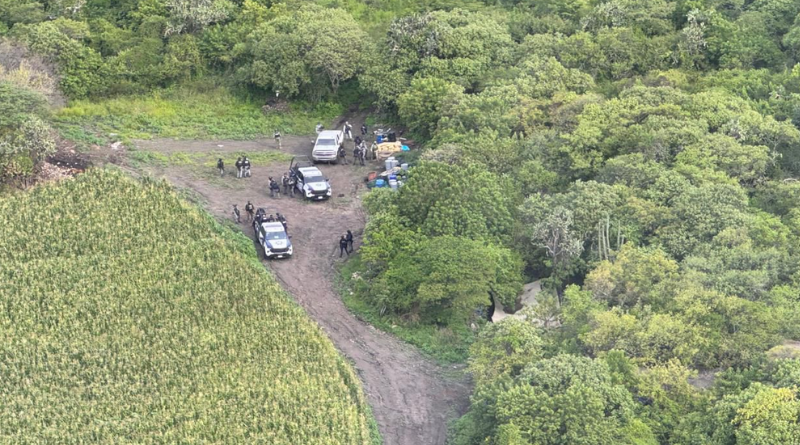GOLPE EN ACÁMBARO: ASEGURAN 3 TONELADAS DE QUÍMICOS