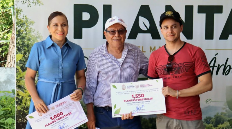 SEMAREN SUPERA 62 MIL PLANTAS FORESTALES DISTRIBUIDAS EN GUERRERO