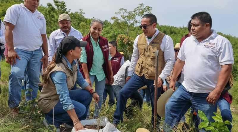 GUERRERO SE SUMA A LA JORNADA NACIONAL DE REFORESTACIÓN