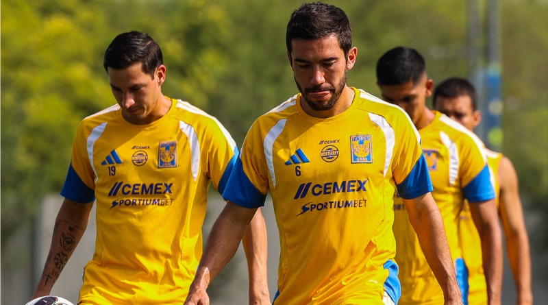 LLEGÓ EL MOMENTO PARA QUE ACTÚEN LOS TIGRES