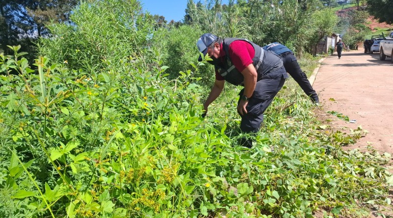 LABORES EN TULA, CHILAPA