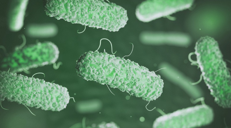 SALMONELOSIS VS CICLOSPORIASIS EN TEMPORADA DE CALOR