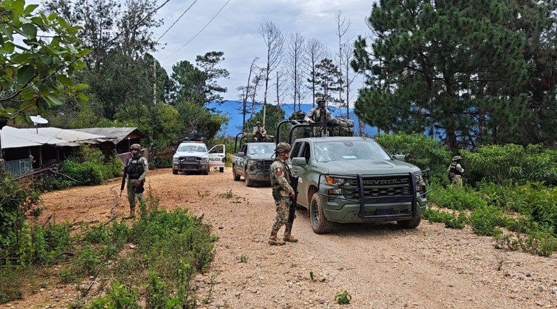 DESPLIEGAN FUERZAS DE SEGURIDAD EN LA SIERRA