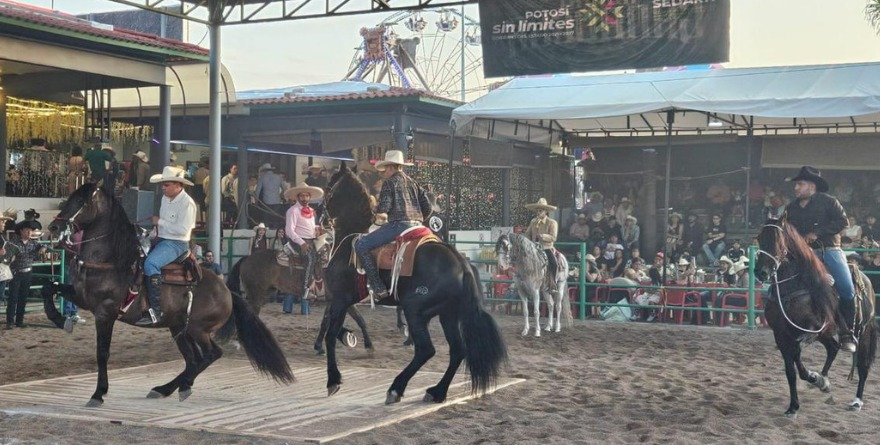 ARRASA EL FENÓMENO DE LOS CABALLOS BAILADORES