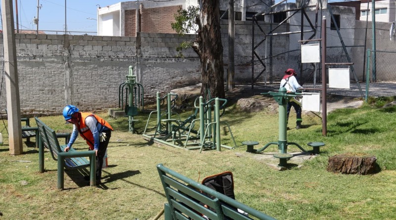 AYUNTAMIENTO PUEBLANO POTENCIA PODA Y LIMPIEZA DE PARQUES MUNICIPALES