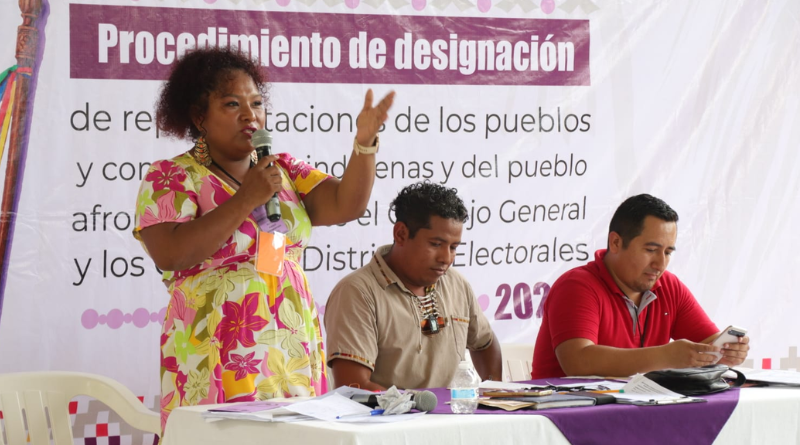 EL PUEBLO AFROMEXICANO MARCA LOS LÍMITES DE SU REPRESENTACIÓN POLÍTICA
