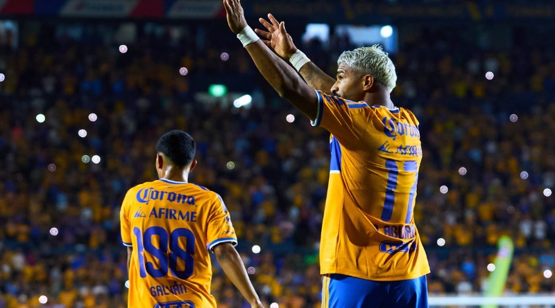 EL TRIUNFO SE HIZO REALIDAD EN TIGRES