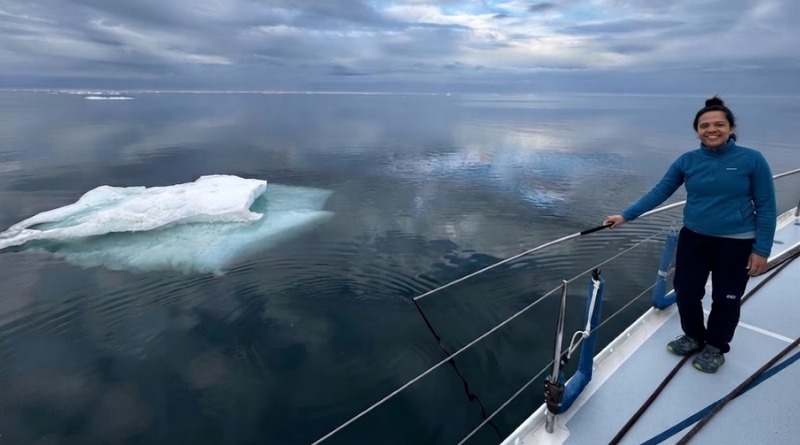 EL VIAJE DE LA BALLENA GRIS HA COMENZADO