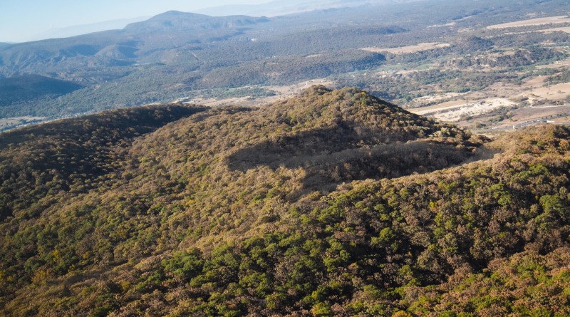 INICIAN GESTIONES PARA PROTEGER AL TEPOPOTE COMO ÁREA NATURAL
