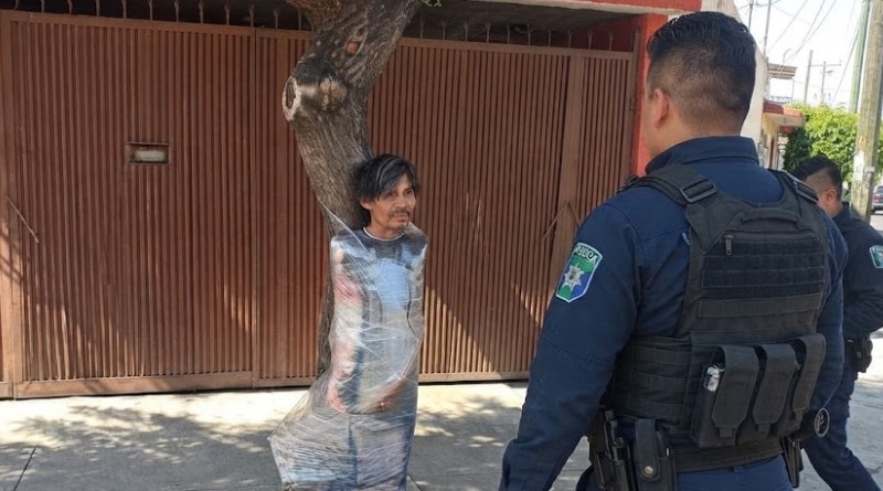 SUJETO TERMINA EMPALADO EN ÁRBOL DE LA CDMX