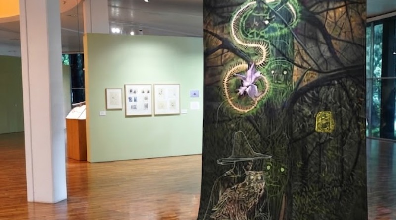 VISITA ‘NARRATIVAS DE LO ALTERNATIVO’ EN EL MAM