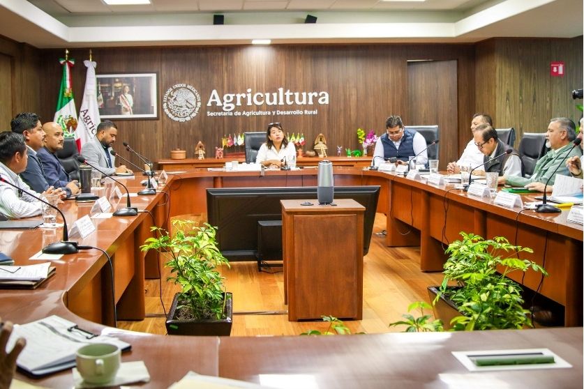 GUERRERO Y FEDERACIÓN SUMAN ESFUERZOS PARA FORTALECER LA PRODUCCIÓN DE MAÍZ Y FRIJOL