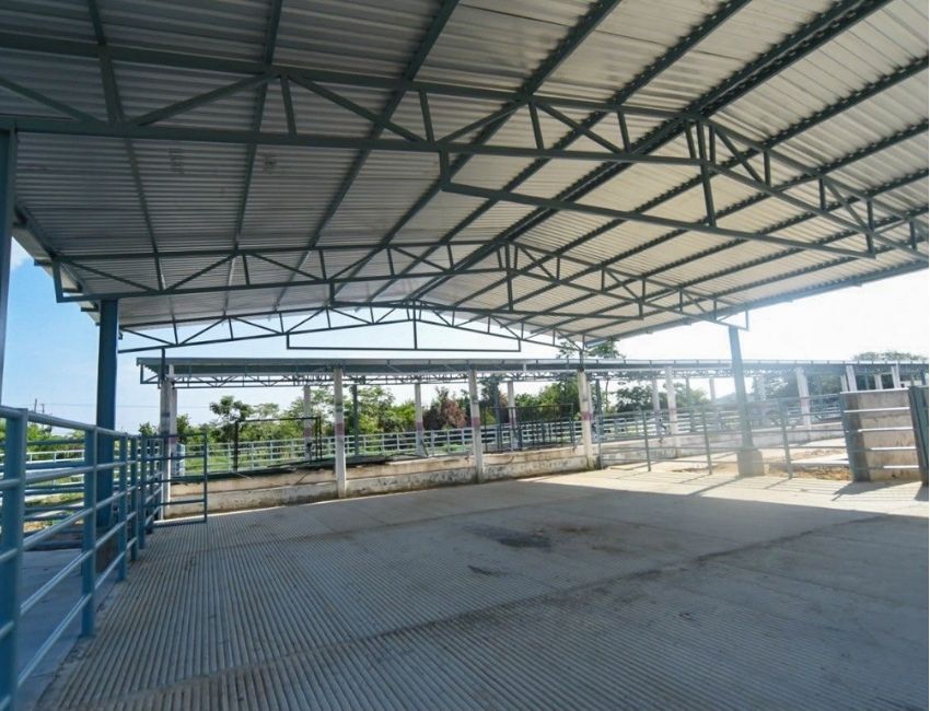SUPERVISAN OBRAS CLAVE PARA GANADEROS Y COMERCIANTES EN LA COSTA CHICA