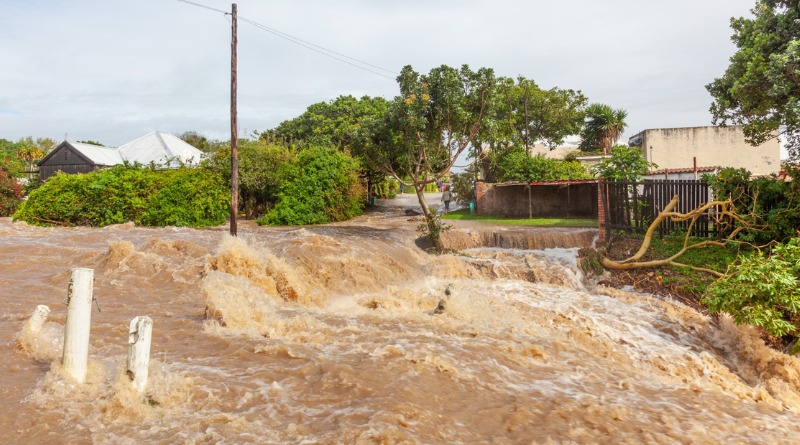 SÚPER NIÑO EN MÉXICO, AMENAZA A LA SALUD Y AL CLIMA