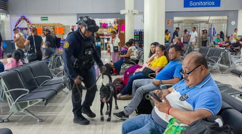 OPERATIVO K9 EN CENTRALES DE AUTOBUSES