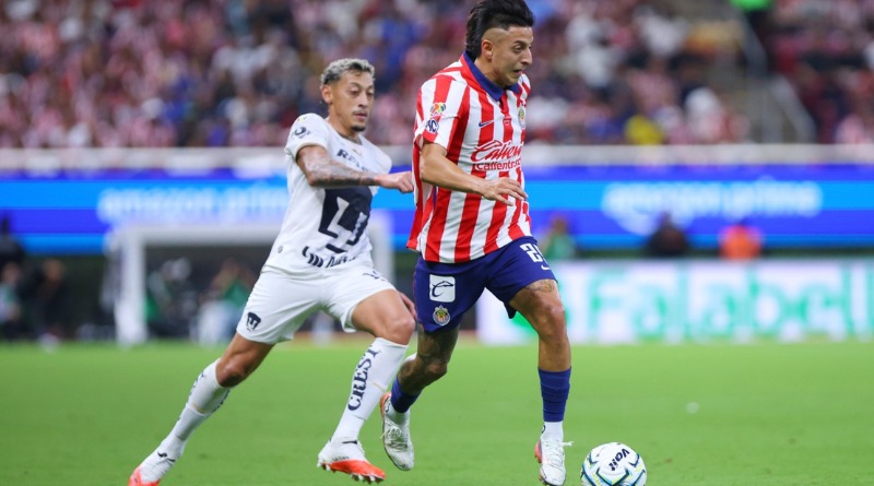 CONTUNDENCIA DEL REBAÑO ARRASÓ CON PUMAS