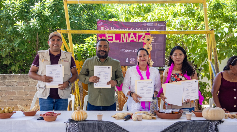 GUERRERO Y FEDERACIÓN RESCATAN MAÍCES NATIVOS