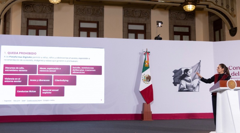 GOBIERNO OBLIGARÁ A PLATAFORMAS A PROTEGER A MENORES DE CONTENIDOS NOCIVOS