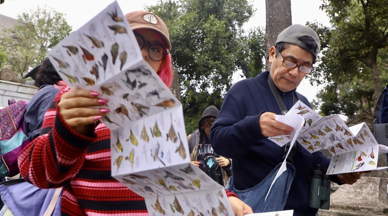 INVITAN A CUIDAR ÁRBOLES EN CENTRO HISTÓRICO