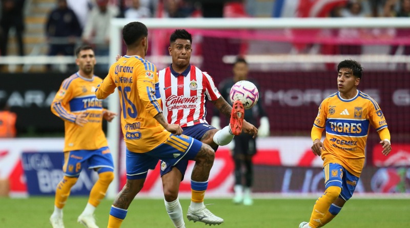UNA TARDE REGULAR PARA LOS TIGRES